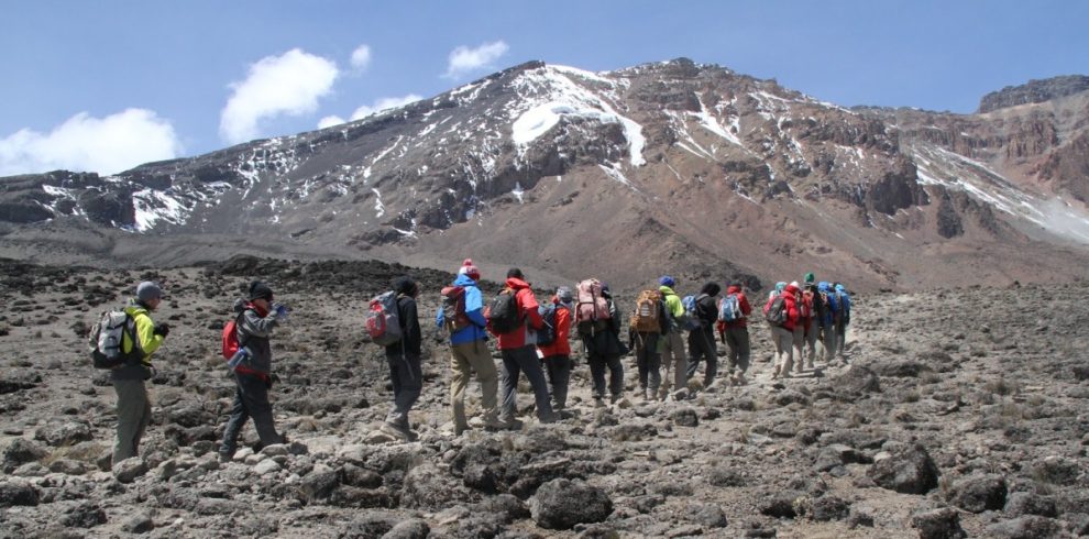 Hikers ascending the steep Umbwe Route on Mount Kilimanjaro during a 7-day climb, surrounded by dense forests and rugged terrain.