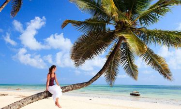 : A lady seated on a palm tree, enjoying the tropical setting and view.