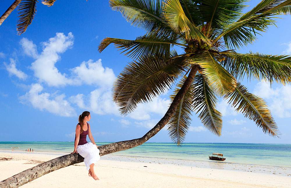 : A lady seated on a palm tree, enjoying the tropical setting and view.