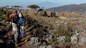 Hiker navigating the Machame Route on Mount Kilimanjaro during an 8-day ascent, with views of the varied terrain.