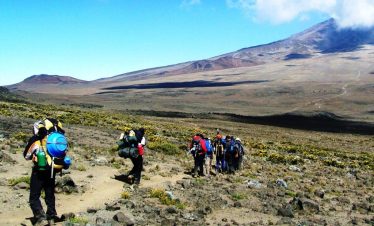 Hikers ascending the Rongai Route on Mount Kilimanjaro during an 8-day climb, with views of the mountain's diverse landscape.