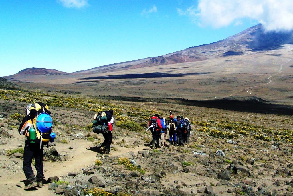 Hikers ascending the Rongai Route on Mount Kilimanjaro during an 8-day climb, with views of the mountain's diverse landscape.