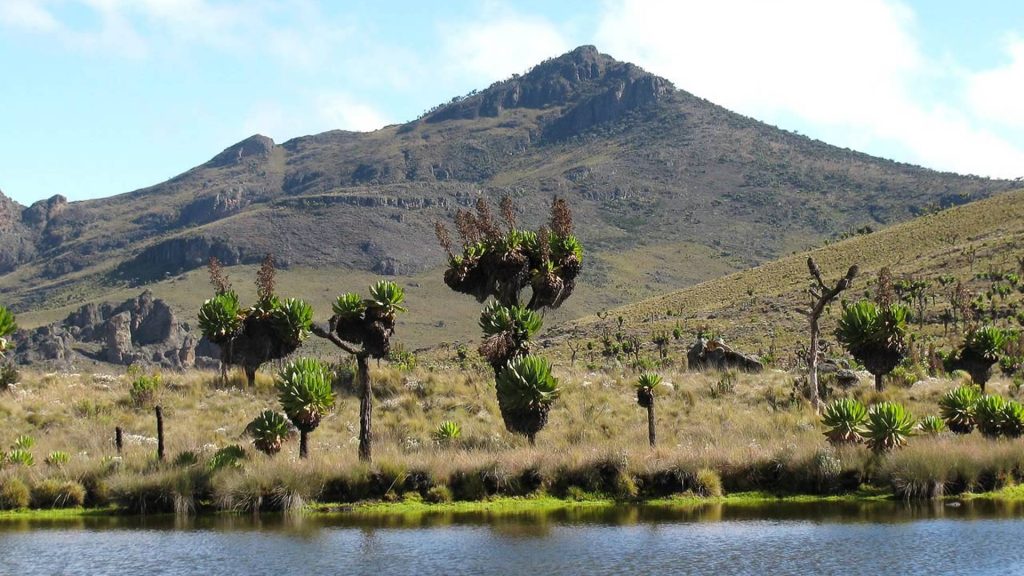 Panoramic view of Mount Elgon, showcasing its expansive peaks and lush vegetation.