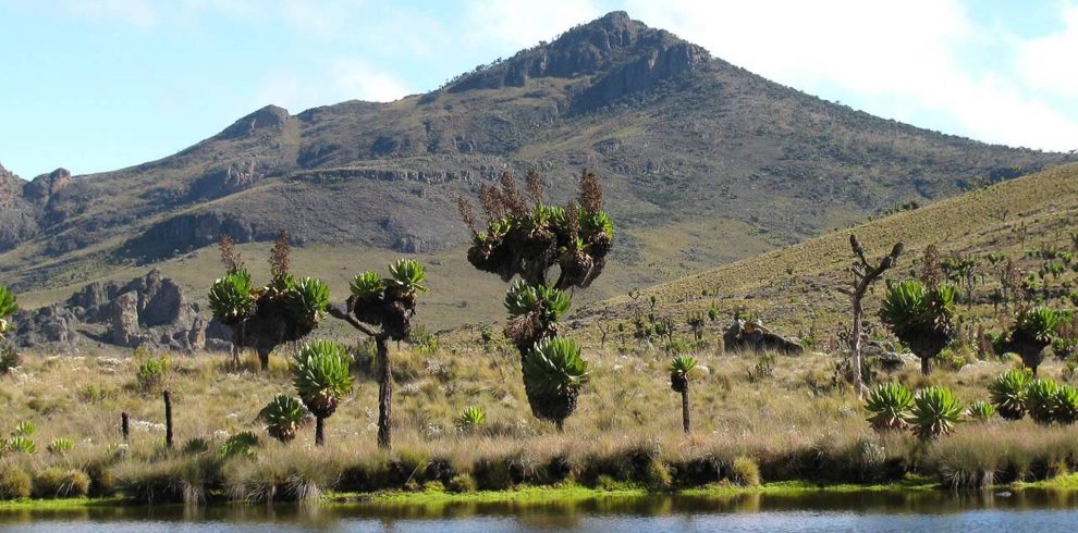 Panoramic view of Mount Elgon, showcasing its expansive peaks and lush vegetation.